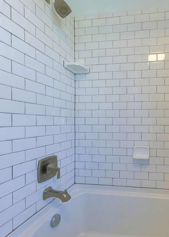 Ceramic Tile Regrouting