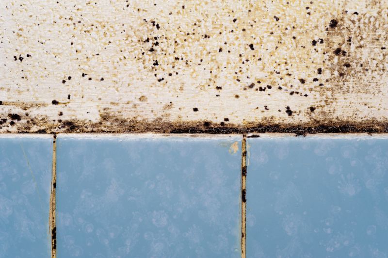 Mold and Mildew Presence