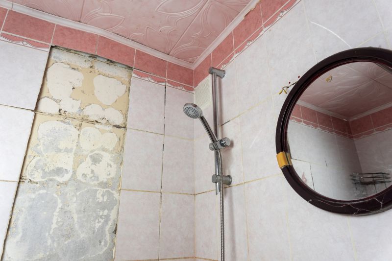 Shower Tile Waterproofing in Denver County, CO
